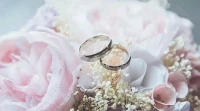 經常會有人說和誰結婚都一樣，你相信了這句話是真的嗎？

人與人的個性是不一樣的，你和一個性格溫婉的人，和對對著一個性格暴虐的人，你的應對方式能是一樣的嗎？

這句話不過是多度強調了你在這段關系中的作用，但另一方的問題是可以忽略的嗎？配圖