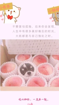【暖心語】：七月的最后一天，好好過，親愛的人兒，要幸福快樂，暖心和你，一直在一起。配圖