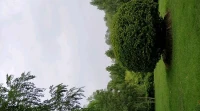 人的后半生是重復(fù)前半生，可以改變嗎？答案是：可以！

童年時各種經(jīng)歷帶來的情緒、感受印刻在身體里，在后面的生活很容易重現(xiàn)。

新的環(huán)境、新的關(guān)系可以帶來新的反饋，接納新的感受，才有可能印刻新的感受！雖然不易，卻有機(jī)會！配圖