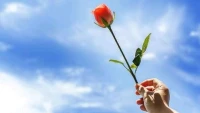 很多人在親密關系中發生了矛盾個沖突后，做了很多努力去修復關系，比如道歉，各種主動示好，另一方依然態度冷淡，決絕，為什么會這樣？

因為你沒get到那個點。

那是怎樣一個點，怎樣找到這個點？找到這個點如何做，TA的態度才能緩和，你們的關系才能有所改善？

歡迎預約我的情感咨詢。配圖