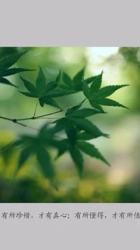 你在或不在，想或不想，見或不見，情就在那里。配圖