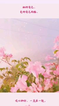 【暖心語】：正心正念，正言正行，做好自己，走好自己的路，陽光，溫柔，真誠，友善，暖心和你，一直在一起。配圖