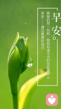 【秋心心語】：生活，從來都不會辜負(fù)一個想要“變好”的人。當(dāng)你每次品嘗到努力后獲得的一些驚喜，你的自尊與自信也會在這個過程中更加真實和堅挺。把所有的不快給昨天，把所有的希望給明天，把所有的努力給今天。親愛的朋友們，新的一周，努力的開始！祝大家天天都有好心情！配圖