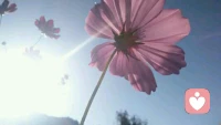 榮格認為人們一直是持續成長的（即自性化，individuation），其間會有一次或多次的轉化（transformation），也就是舊的價值觀被迫拋棄，而新的或早或晚將突顯。配圖