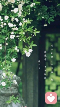 【暖心語】：慢一點，慢慢來，才比較快。
關注心理健康，緩解焦慮情緒，祝你身心愉悅，生活愉快，暖心和你，一直在一起。配圖