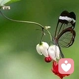 【轉】每天都是嘗試去做一件你害怕的事情，因為，你所害怕的事情，往往是最值得的。配圖