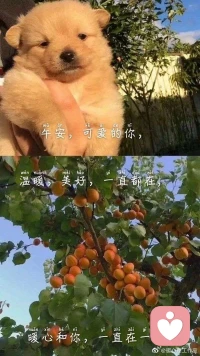 【暖心語】：午安，可愛的人兒，好好吃飯，好好休息噢，雖然天冷了，太陽也很少出來了，但是你本身就是暖暖的小太陽，不是嗎？
安，可愛的你，溫暖，美好，一直都在，暖心和你，一直在一起。配圖