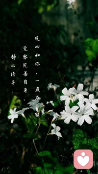 【暖心語】：靜心修身，覺察完善自身，暖心和你，一直在一起。配圖