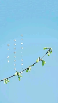 【暖心語】：靜心，修身，好好珍惜所擁有的，暖心和你，一直在一起。配圖