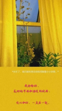 【暖心語】：早安，親愛的人兒，美好的一天，美好的你，好好過好今天，安心，平和，愉悅，恰當的生活工作和休息。
早，我會給你美好的早安和溫暖的晚安，安，暖心和你，一直在一起。配圖