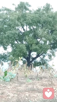 【轉(zhuǎn)】沒有走不出的過去，只有不幸福的現(xiàn)在，當(dāng)活到傷心時(shí)一個(gè)人孤零零的一個(gè)人躲起來哭泣時(shí)，別趴下，至少慶幸自己還足夠清醒。愛你的人只是在你年輕的時(shí)候錯(cuò)過了你，哪怕他一生都找不到你，一定別讓壞情緒傷到自己，人生百味，苦也要苦得精彩配圖