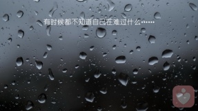 证书