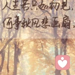 千与千寻的头像