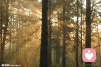 有時候，我們看待事情的想法，就像相機的鏡頭。鏡頭臟了，拍出的世界就灰暗。擦一擦，光就進來了。配圖