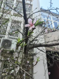 這個時代已然沒有愛情，只有欲望

人與人之間難以建立深度，親密和信任的關系

—靈鹿姐姐配圖
