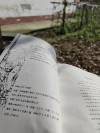 獨立不懼，自我體證，以心傳心
?
?
?
?
?早安
?
?靈鹿心理咨詢配圖