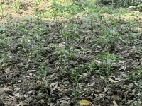 我們都遺忘了自己內心的那個孩子


從今天起，做個小小孩，

讓自己發自己內心的幸福快樂起來配圖