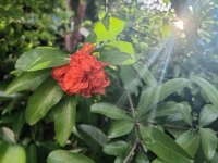 人，趨近于獨立和自愛，能讓心更踏實配圖
