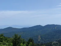 有些風景在山頂


不必糾纏于半山腰的人和事


靈鹿心理咨詢
早安配圖