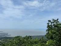 有些風景在山頂


不必糾纏于半山腰的人和事


靈鹿心理咨詢
早安配圖