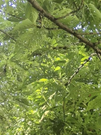 早安
?
?
?過往皆是序章
?
?靈鹿心理咨詢配圖