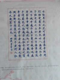 始終如一的走好自己的路


靈鹿心理咨詢配圖