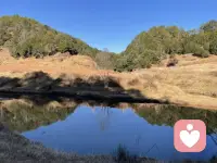 还有几个小时就算是入驻第三天了配图