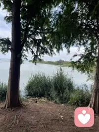 在水边，非常安静的接听来访的电话。配图