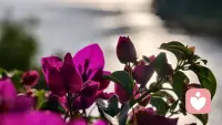 这风景不错吧配图