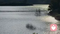 这风景不错吧配图