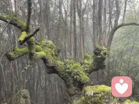 安静下来，去聆听自己的心声，每个人都有属于自己的智慧。配图
