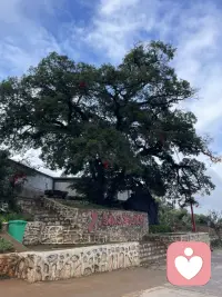 安静下来，去聆听自己的心声，每个人都有属于自己的智慧。配图