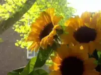 中国家庭最大的问题是，成员之间缺乏有效沟通，大多数夫妻不是在试着解决问题，而是在争谁对谁错，谁该服从谁。