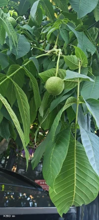 內(nèi)在創(chuàng)造外在！配圖
