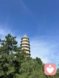 如果你有一個不完美的父親、不完美的母親，如果你有一個讓你痛苦的家庭，如果你有一個辛苦的童年或創傷經驗，記得，這些統統不是你的錯。
為今之計，
就是面對它、好好療愈自己。
不要讓別人在過去給你的痛苦，繼續延伸到未來，不要讓別人的錯誤，成為你一生的負擔。
如詩人魯米所說：
“當你接受你被給予的困難時，門就會敞開！”
通往天堂的路，就是打開秘密的傷口，勇敢迎向它。
不要讓自己一輩子活在“受害者”的框框里，每天自哀自憐、痛苦不堪，不值得。
為那個傷害你的人，日夜折磨自己，絕對不值得。?配圖