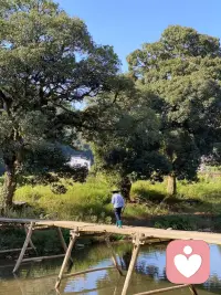 認知科學過去的看法是大腦中的記憶是固定的，外在事件發生之后，大腦對事件進行編碼、整合之后存入長期記憶，成為一個固定的記憶。現代發展心理學則強調大腦的可塑性，因為科學家在關于腦損傷的研究中發現，經過學習和訓練之后，個體大腦中病變區域所執行的功能可以部分得到恢復：或者是病變區部分得到恢復，或者是臨近的腦區通過學習與訓練發展出部分病變區的功能。該研究結果在心理治療工作中的體現是，當治療師帶領來訪者喚起童年某個創傷記憶時，其固定記憶被重新喚起，成為當下活化的記憶。精神動力學理論認為，潛意識是沒有時態的，潛意識里的任何事件被激活時，來訪者的感受都是現在式的，而非過去式或未來式的。因此，當來訪者進入童年的某個創傷事件，讓當年的孩子與當時傷害他的人進行對話時，對來訪者的大腦而言，它又進入了現在式，過去的固定記憶成為當下活化的記憶，也因為是當下正在發生的對話，所以治療師可以進行干預。不論是孩子為自己站起來，敢于表達自我了，還是孩子邀請愛他的人進入現場保護他、安慰他，甚至叫警察來把他的施暴的爸爸帶走，這些都是在治療室現場可能發生的體驗。雖然這些場景是在來訪者的想象中發生的，其體驗卻是現場的，那人似乎就坐在對面，被喚起的情緒是真實的，身體的體會是當下的，表達的感受、想法、需求都是從內心深處浮現的。這一切“真實的體驗”會傳送到大腦，被重新整合，再儲存回去，成為轉化的記憶。神經科學的研究呼應了心理治療臨床實證的觀察結果，讓我們確認，來訪者的童年創傷是可以通過再度喚起和積極干預而被療愈的。過去的創傷可以被修通、被轉化，我們可以有一個健康的、更有彈性和抗挫力的新的開始。配圖