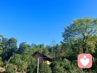 抑郁無感除了神經性的傷害，基本上都是由于童年創傷，依戀關系造成的。之所以會這樣都是由于長期處于不安全的環境，人的自我保護機制的習慣性反應。想要改變這些不是光靠道理理論就能夠完成的，一定要有一個好的關系客體進來，體驗到安全穩定的關系帶來的感受，這樣才能夠重構我們的腦回路，從根本源頭修正自己。這個需要自己努力去嘗試突破，也是需要專業的人士幫助支持才可以完成的。配圖