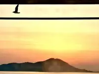 你無(wú)需表現(xiàn)什么來(lái)證明自己，
也無(wú)需討好或抗拒什么；
做真實(shí)的自己吧，
這就是對(duì)生命、法則的致敬。配圖