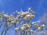 能長(zhǎng)期維持下去的關(guān)系，不在于強(qiáng)烈的愛(ài)或大量的付出，而在于很少的攻擊很少的強(qiáng)求，以及很多的接納和允許。配圖