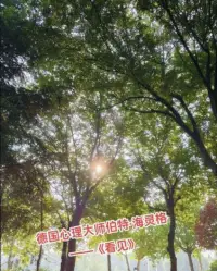 當你看見一個人的行為時，你沒有看見他；
當你看見一個人行為背后的意圖時，你開始看見他；
當你看見一個人意圖背后的感受和需要時，你才真的看見他了。配圖