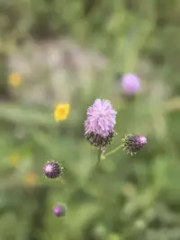 一个女人真正成熟的标志不是摆脱依赖，万事万物依靠自己，而是学会借力与共生，把自己放在主体地位，万物皆为我所用。配图