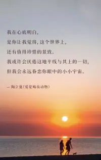 我在心底明白，
是你讓我覺得,這個世界上，
還有值得珍惜的景致。
我或許會厭倦這地平線與其上的一切，
但我會永遠眷戀你眼中的小小宇宙。
-陶立夏《愛是嚙齒動物》配圖