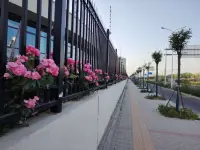 喜物而不溺于物，鐘情而不陷于情。配圖