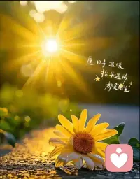 人生隨著年齡漸長，不斷鋪展開生命的畫卷，你看到過去沒有意義的碎片，逐漸拼合成關于你自己的，恰到好處的真相。配圖