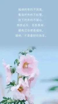 世間沒有對錯，接納自己的任何狀態和處境，不對也是對。
不接納自己，對也是不對。