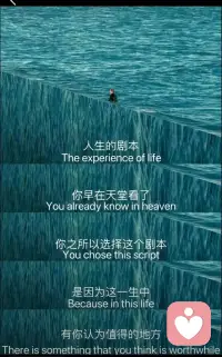 所谓清醒，就是亲手砸碎他人为你定制的生存剧本。