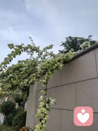 關注
我最后的敬意
要獻給那些
知道我不完美
卻依然愛我的人。