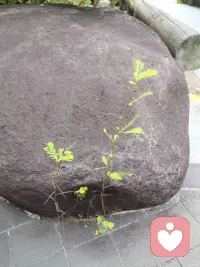 沒有天使，
沒有魔鬼，
原來救贖就在心底。