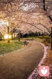 見自己、見眾生，見天地。融會貫通，更好的生活。愛出者愛返，福往者福來[合十]