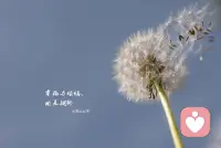 如果一個命運，來自行為結(jié)果取決于情緒選擇，選擇形成的情緒給到判斷離不開你的認(rèn)知和意識決定，改變認(rèn)知就是改變命運最好的禮物和安排。配圖